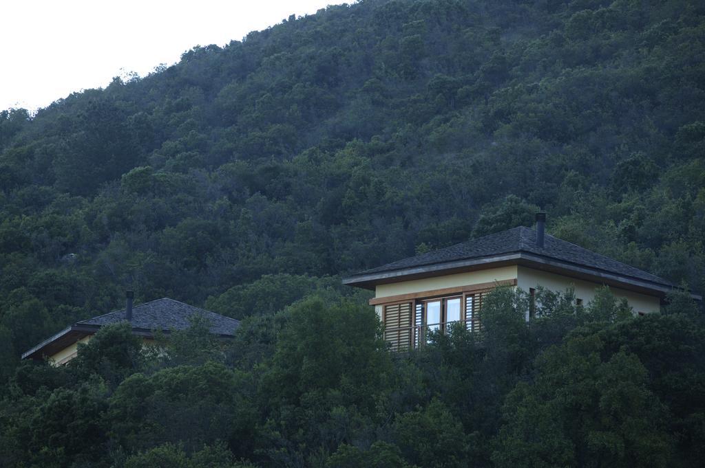 Clos Apalta Residence Relais & Chateaux サンタ・クルス エクステリア 写真