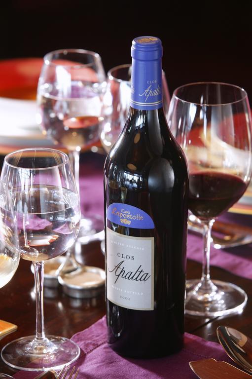 Clos Apalta Residence Relais & Chateaux サンタ・クルス エクステリア 写真