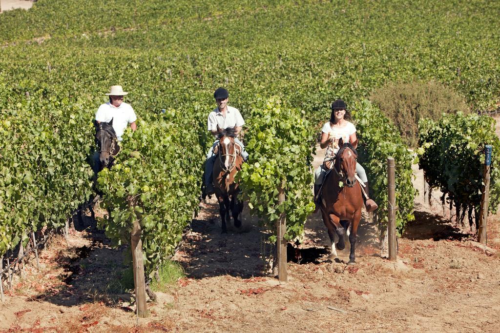 Clos Apalta Residence Relais & Chateaux サンタ・クルス エクステリア 写真