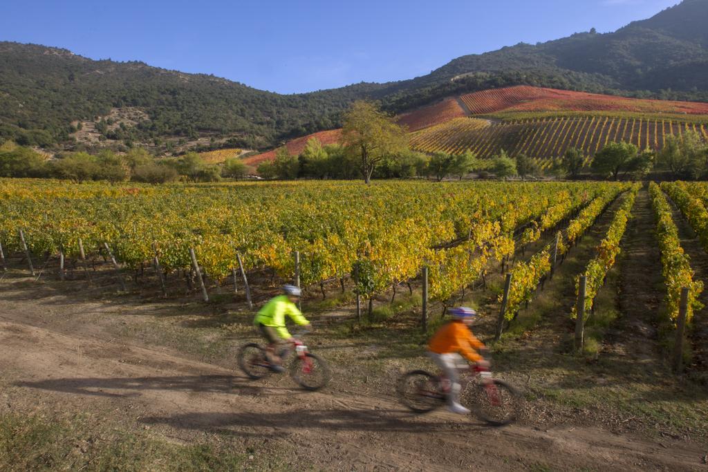 Clos Apalta Residence Relais & Chateaux サンタ・クルス エクステリア 写真