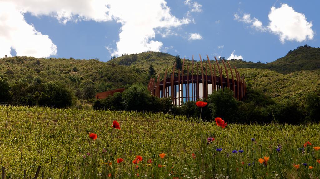 Clos Apalta Residence Relais & Chateaux サンタ・クルス エクステリア 写真